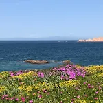 Miramare *