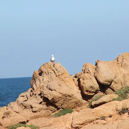 Miramare شقة *